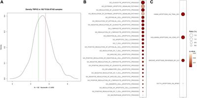 Cationic Channel TRPV2 Overexpression Promotes Resistance to Cisplatin-Induced Apoptosis in Gastric Cancer Cells